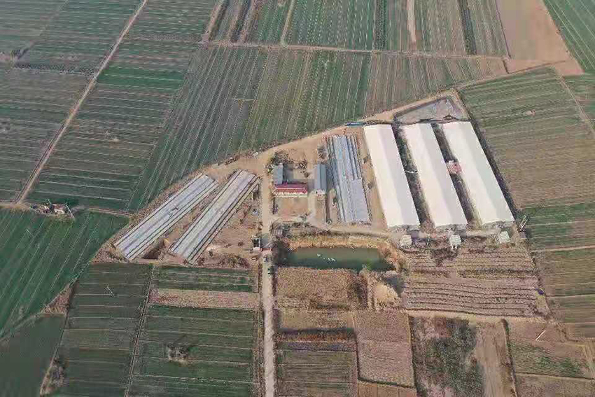 華北 生態(tài)農場.jpg